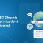 SEO