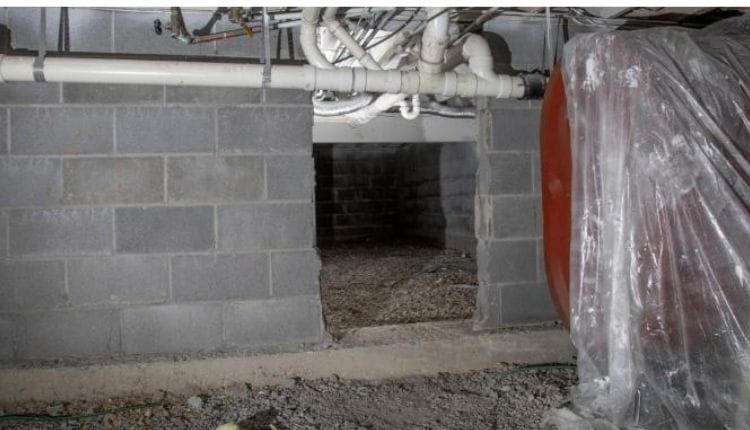 Foundation